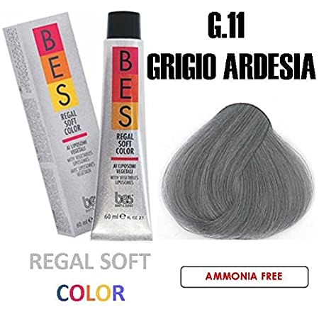 Regal Soft Hair Color G.11 Slate Grey