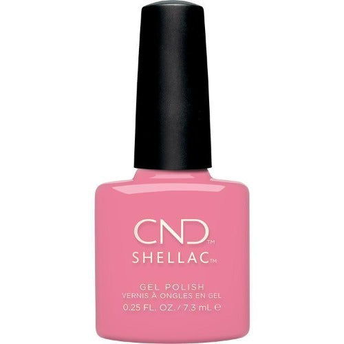 Shellac Kiss d'une rose