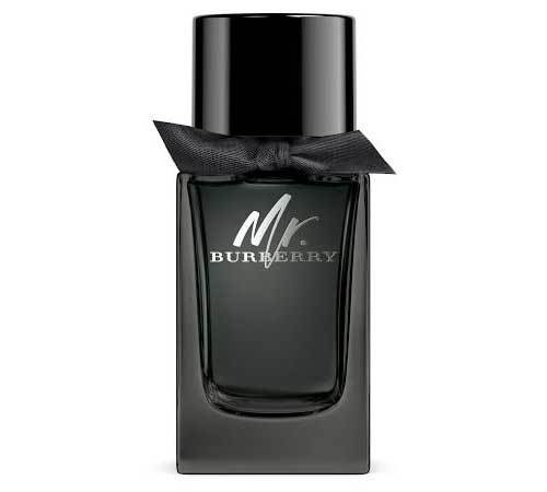 Mr. Burberry eau de parfum spray