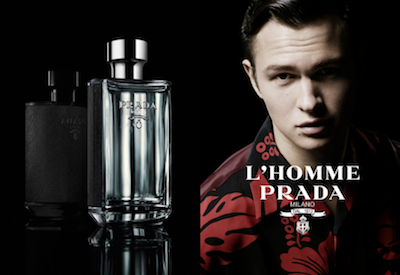 L'Homme eau de toilette spray